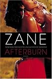 Afterburn: A Novel