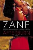Afterburn: A Novel