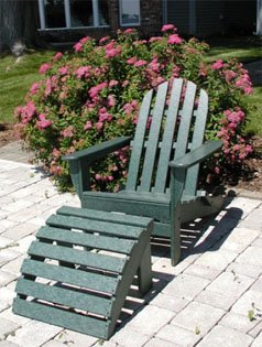 Adirondack Combo Chair And Ottoman-Black