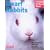 Dwarf Rabbits (Complete Pet Owner's Manual)