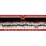 2010 Hockey Canada (Celebration, Door) Sports Poster Print - 21x62 Sports Door Poster Print, 62x21