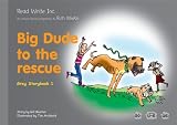 Read Write Inc.: Set 7 Grey: Colour Storybooks: Pack of 13 Titles