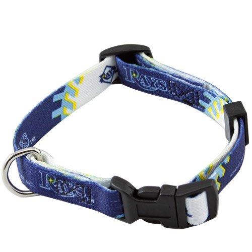 Tampa Bay Rays Navy Blue-White Adjustable Dog Collar (Small)