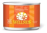 Wellness Canned Dog Food for Adult Dogs, Turkey and Sweet Potato Recipe, 24-Pack of 6-Ounce Cans