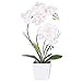 Homeseasons LED Lighted Artificial Orchid Arrangement-Battery Operated Orchid Pot with 9 Lights