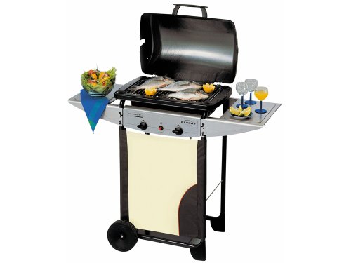 Campingaz - Barbecue à gaz New expert 2 Plus - 7 kW