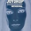 Metasexual