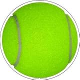 Tennis Ball Car Magnet
