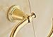 Rozin Gold Finish Wall Mounted Towel Hook Bath Towel Ring Hanger