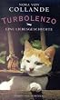 Turbolenzo