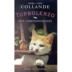 Turbolenzo