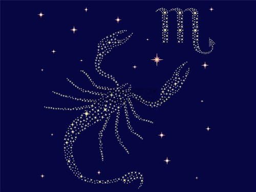 Doppelganger33 LTD Painting Zodiac Star Sign Scorpio Scorpion Art Large Art Print Poster Wall Decor 18x24 inch