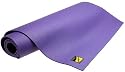 Manduka 71-Inch PROlite Travel Yoga and Pilates Mat (Purple)