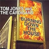 Burning Down the House (US Import) - Tom Jones