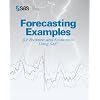 Forecasting Examples for Business and Economics Using the SAS System