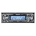 Panasonic CQ-CB8901U High Definition Radio/ MP3/WMA with Motorized Customizable 3D Graphics Display (50W X 4)