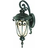 Yosemite Home Decor E519LDORB 1 Light Led Exterior with Clear Large Sized Glass, Oil Rubbed Bronze Finish