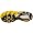 ASICS Men's GEL-1150 Running Shoe