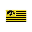 University Of Iowa NCAA 3' x 5' Single Sided Banner Flag by BSI Products Inc.