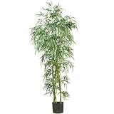 41AWqPddKWL. SL160  Nearly Natural 6 Fancy Style Slim Bamboo Silk Tree