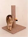 Cat Scratching Post - Carpet