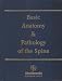Basic Anatomy & Pathology of the Spine