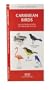 Caribbean Birds: An Introduction to Familiar Species (International Nature Guides)