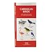 Caribbean Birds: An Introduction to Familiar Species (International Nature Guides)