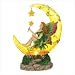 Moonlight Fairy Light