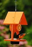 Songbird Essentials SERUBFJF Fruit and Jelly Oriole Feeder
