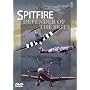 Spitfire - Defender Of The Skies [DVD]