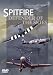 Spitfire - Defender Of The Skies [DVD]