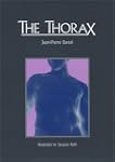 The Thorax