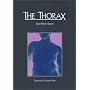 The Thorax