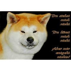 Metall - Warnschild Akita Inu