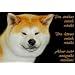 Metall - Warnschild Akita Inu