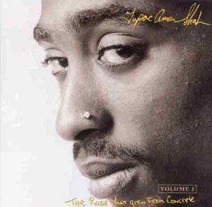 CD-Charts  Music : The Rose That Grew From Concrete Vol.1