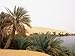 Palm Trees and Lake, Erg Ubari, Sahara Desert, Fezzan, Libya, North Africa, Africa Ph...