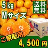 田村みかん　わけあり　Mサイズ5kg　大人気のご家庭用