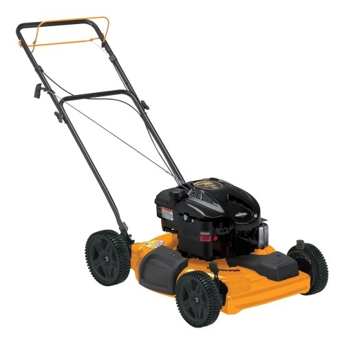 Poulan 22in High Wheel Self Propelled Mower (961220024)