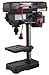 Black Bull DP5UL 5 Speed Drill Press