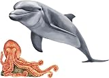 Dolly the Dolphin and Oscar the Octopus Dry Rub Transfer Kit