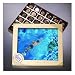 Swimming 1 Lb. Assorted Chocolates