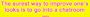 The surest way to improve one's looks is to go into a chatroom Large Bumper Sticker
