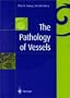 The Pathology of Vessels