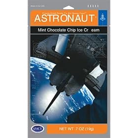 Mint Chocolate Chip Astronaut Ice Cream (10 Packages)