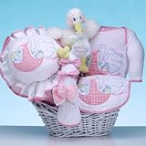 The Stork Delivers - Baby Gift Basket (Girl)
