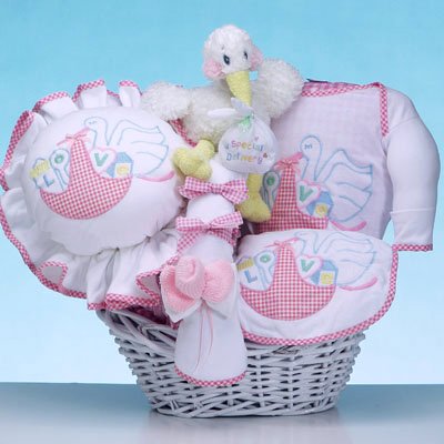 The Stork Delivers – Baby Gift Basket (Girl)