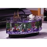 41AXiCRE8YL. SL160  Buy Aqua Coffee Table