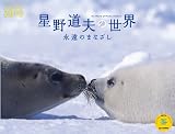 2010星野道夫の世界 永遠のまなざし(Yama-Kei Calendar)